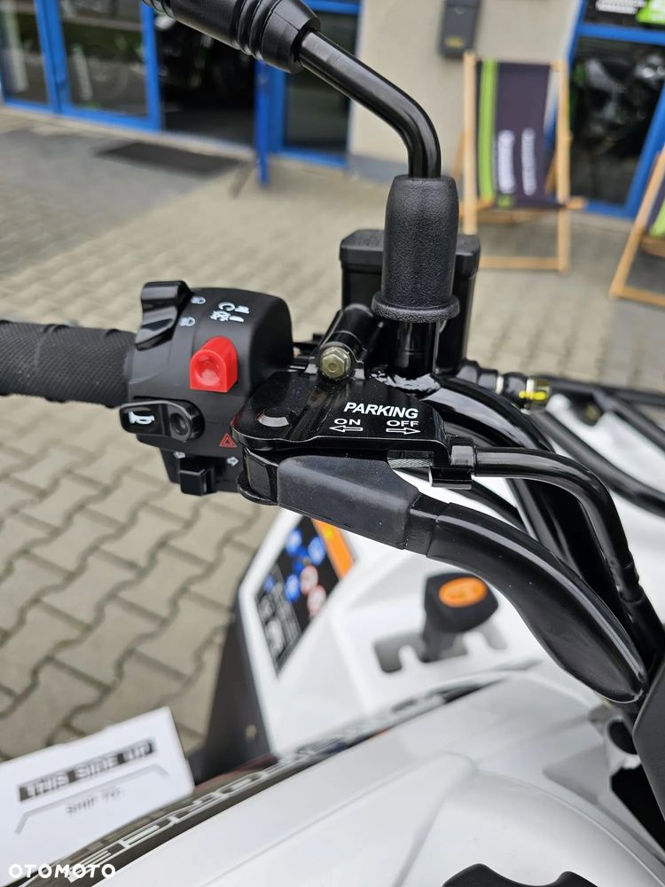 Kawasaki Brute Force - 12