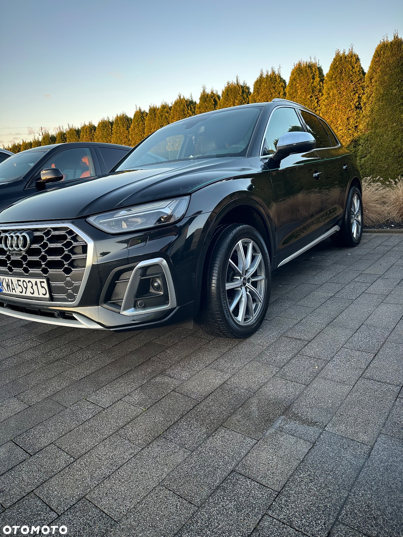 Audi SQ5 3.0 TFSI Quattro Tiptronic - 25