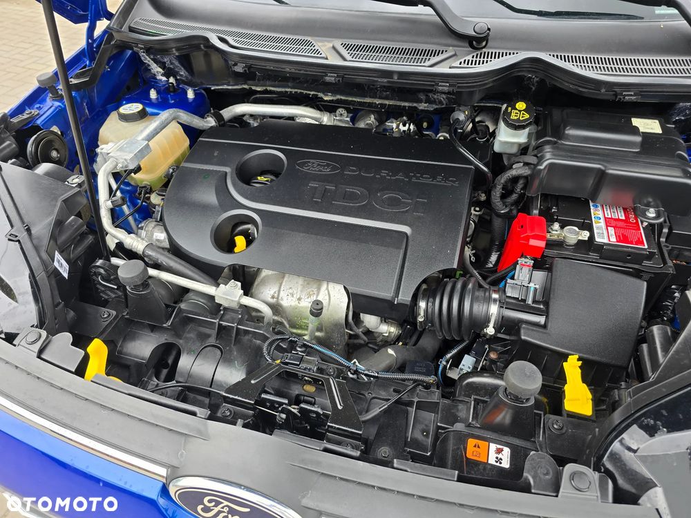 Ford EcoSport - 16