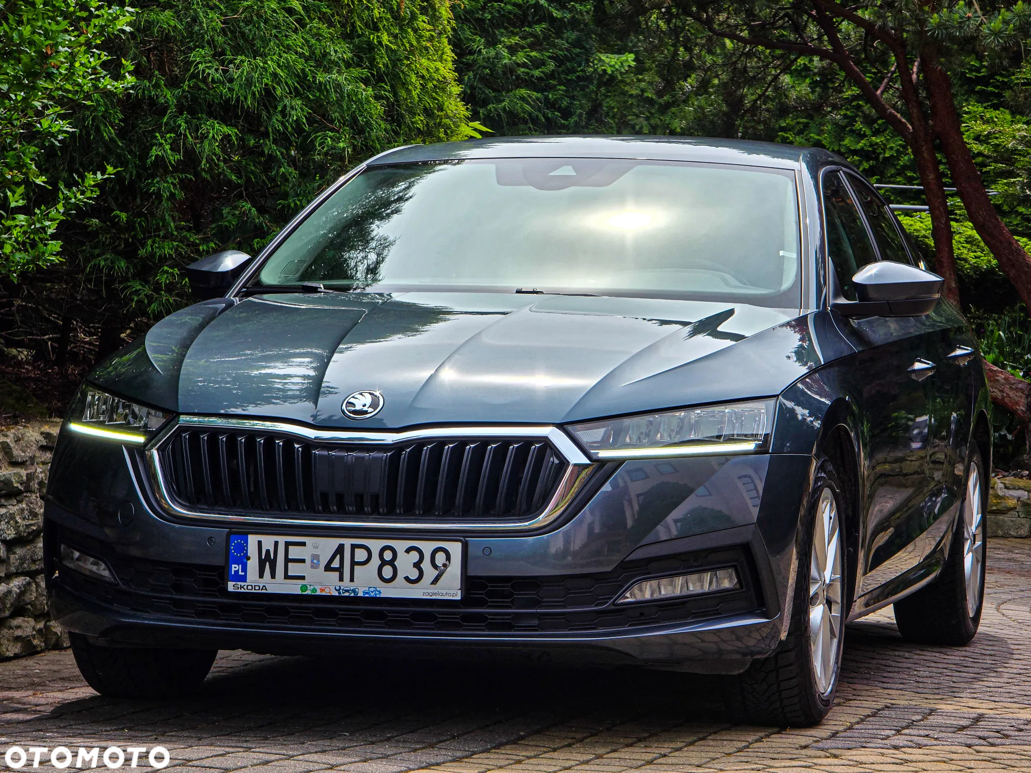 Skoda Octavia 1.5 TSI GPF ACT Ambition DSG - 12