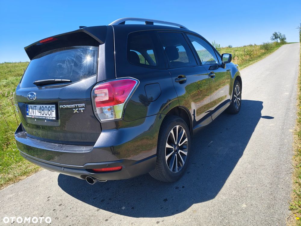 Subaru Forester - 19