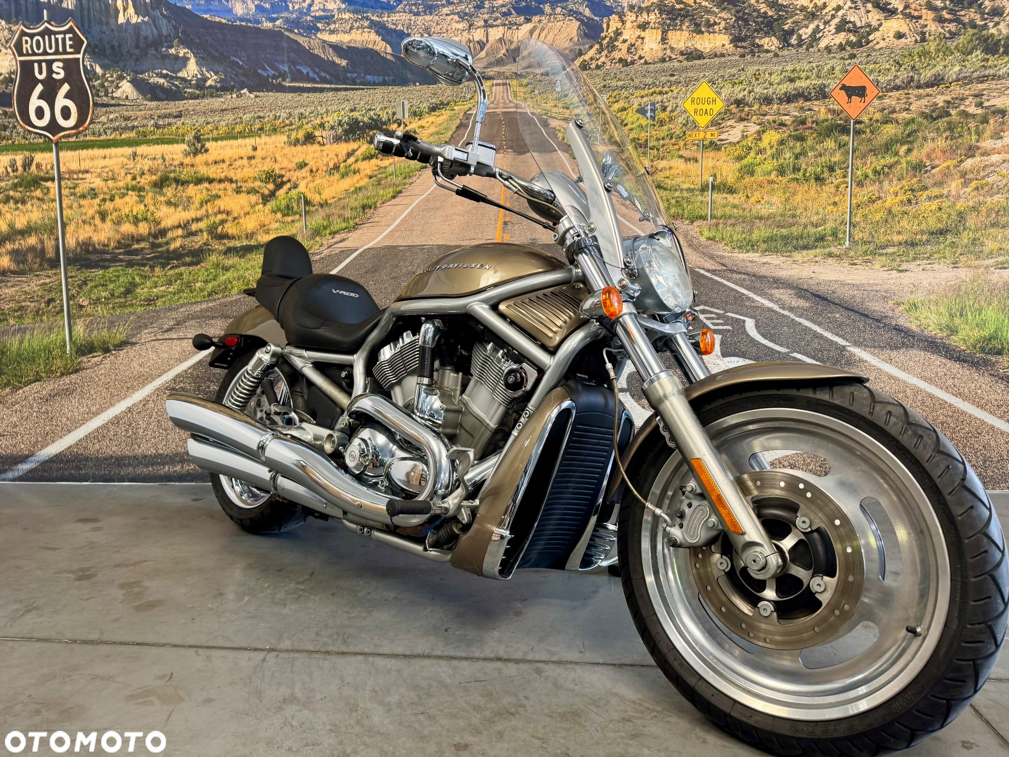 Harley-Davidson V-Rod Street Rod - 2