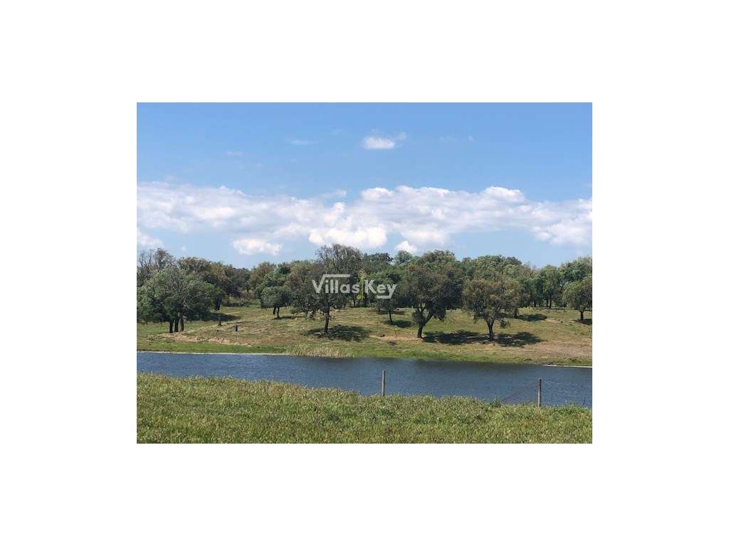 Quinta apta para cultivo e construções turísticas ou rurais a 15km ... - Grande imagem: 5/11