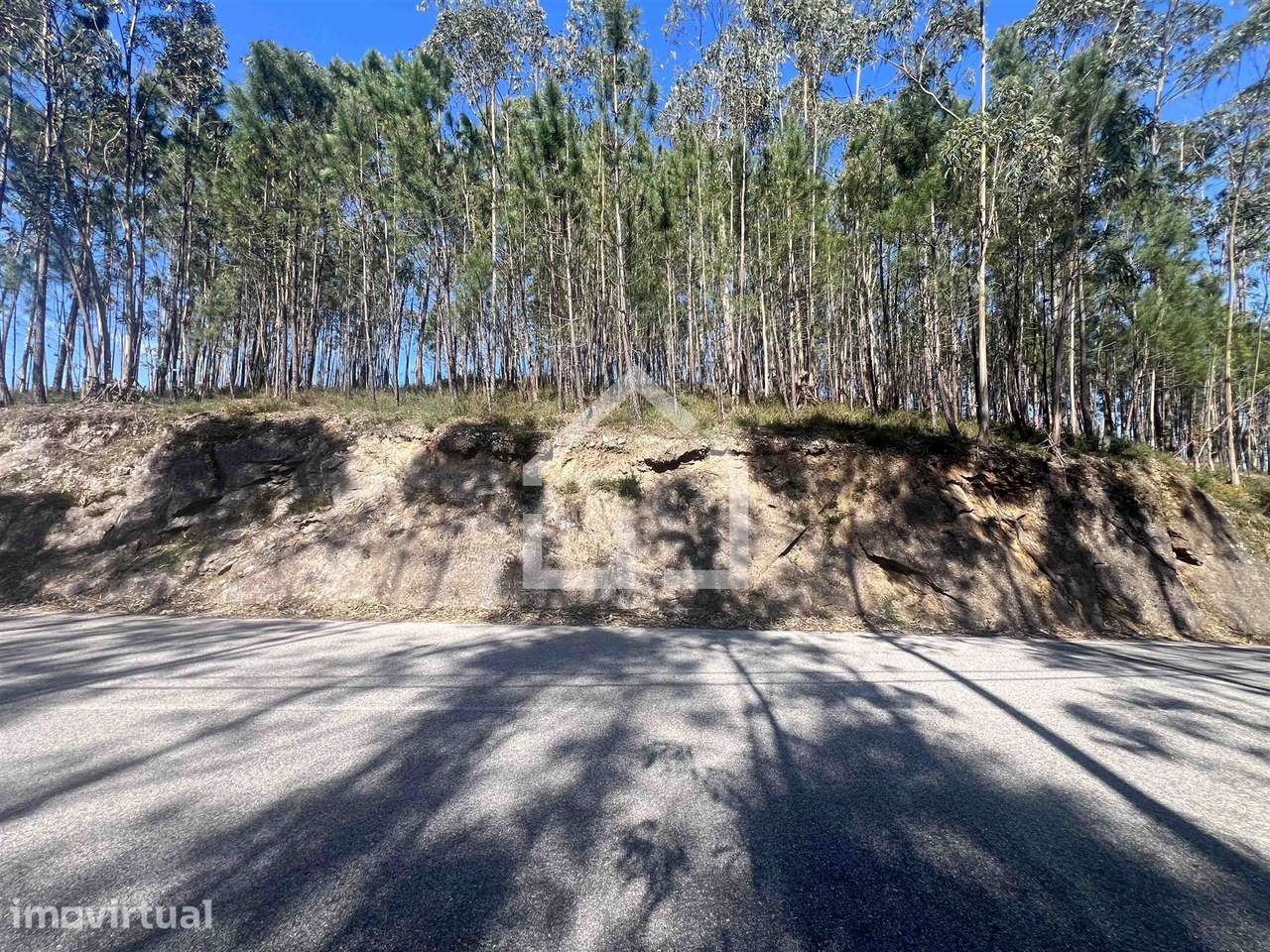 Terreno Canedo - Grande imagem: 3/8