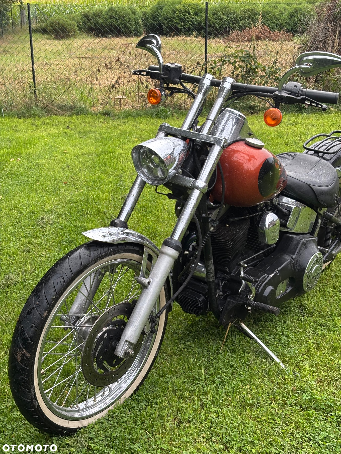 Harley-Davidson Softail Standard - 4