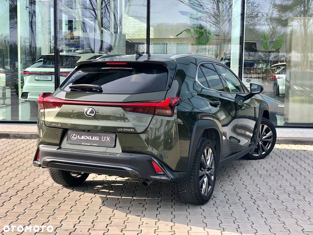 Lexus UX 250h GPF F Sport Design 2WD - 12