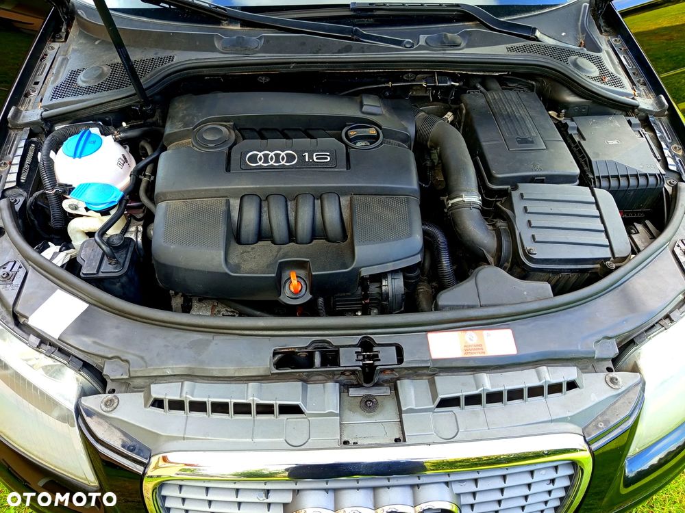 Audi A3 Sportback 1.6 Ambiente - 10