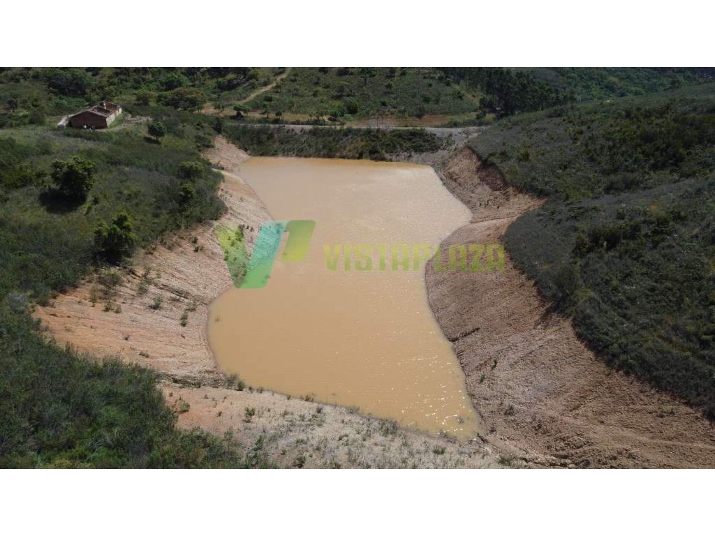 Magnífica Herdade de 57 Hectares à Venda - São Bartolomeu de Messines - Grande imagem: 3/26