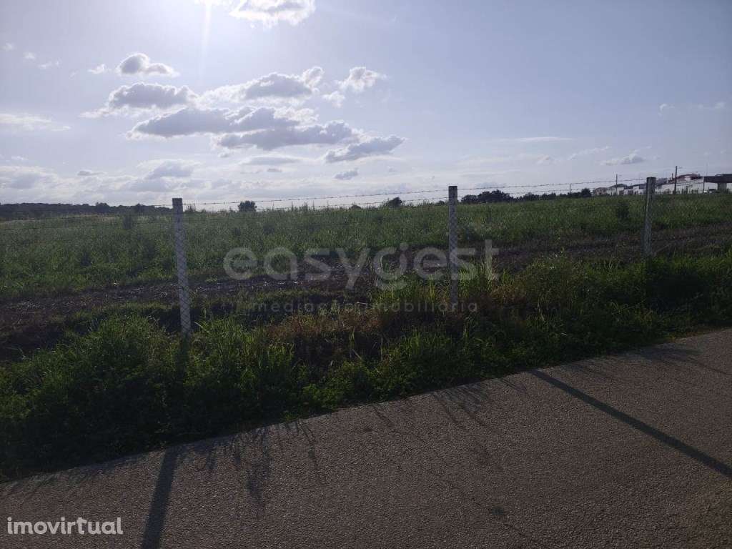 Terreno rústico com 2,925 ha, localizado em Jungeiros - Grande imagem: 5/21