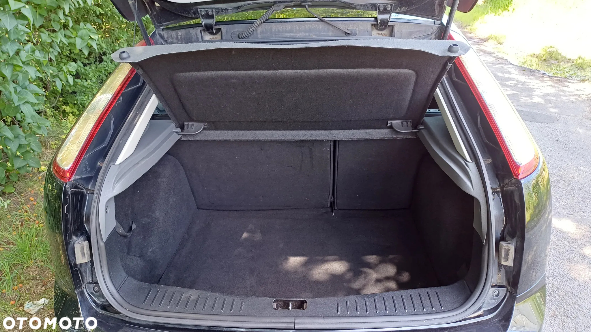 Ford Focus - 8