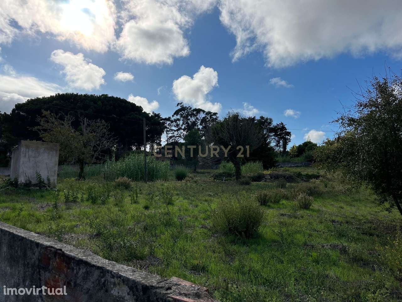 Terreno rústico 8.600 m2, em Morelinho, Sintra - Grande imagem: 2/5