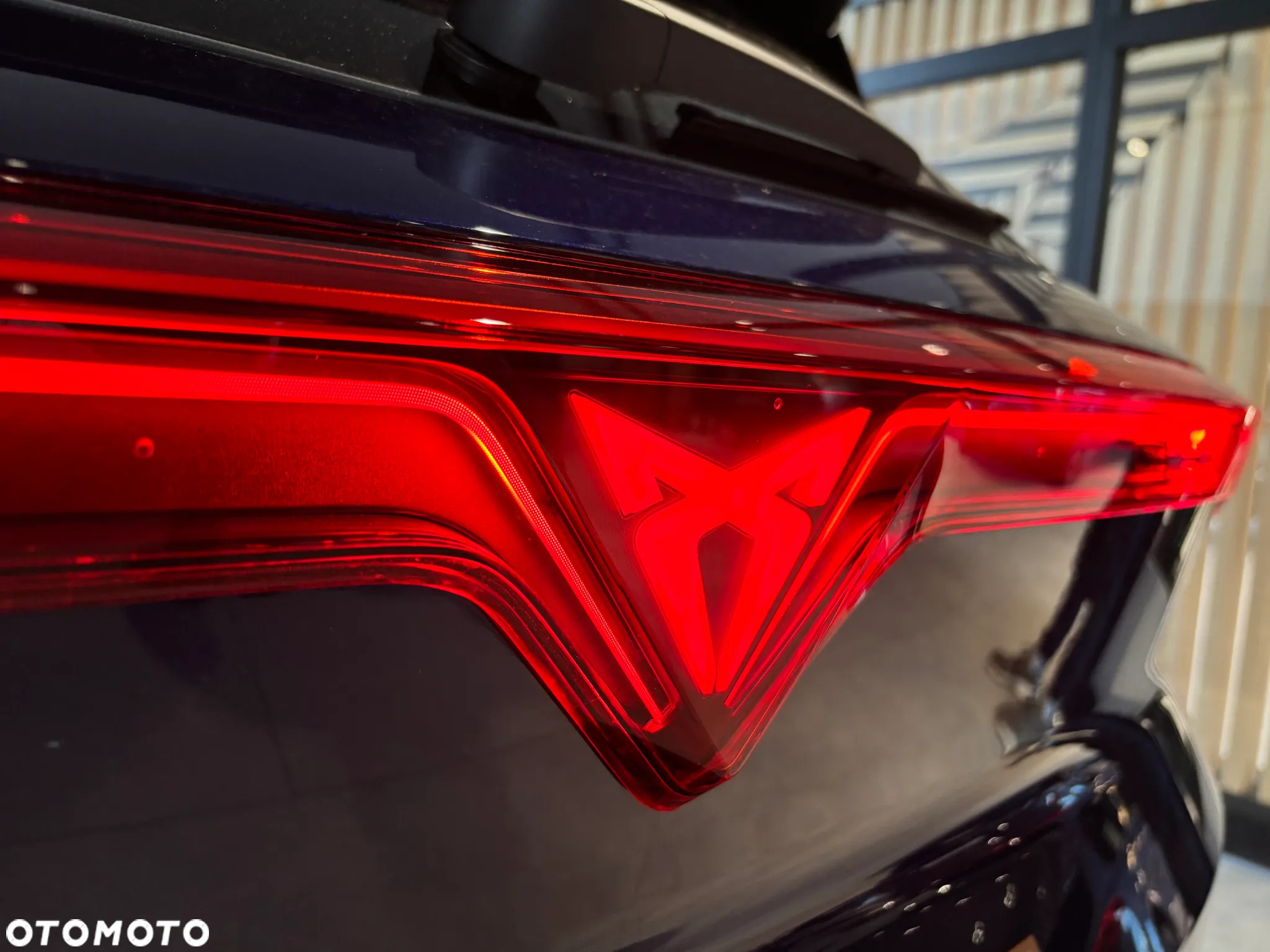 Cupra Terramar - 6