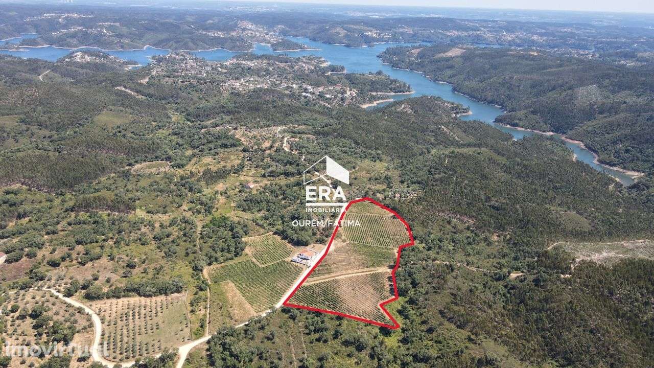 Terreno localizado na Serra, Tomar - Grande imagem: 3/25