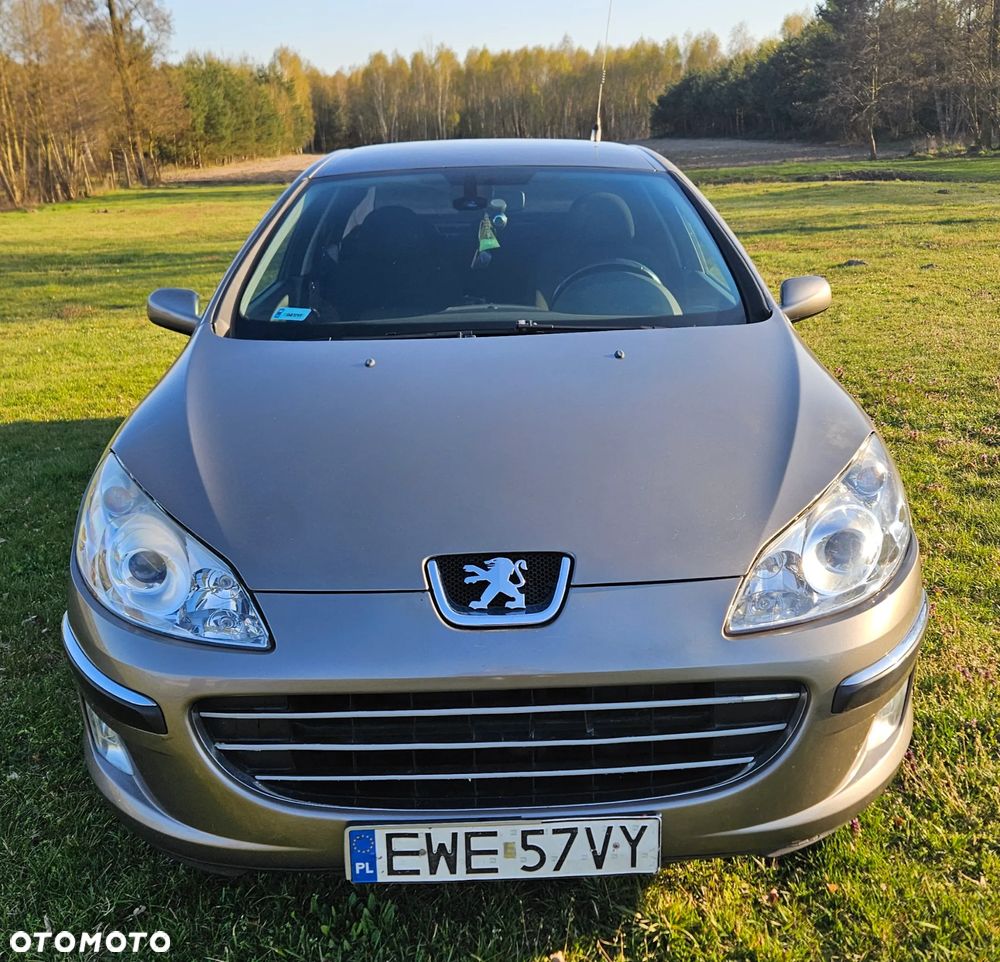 Peugeot 407 - 6