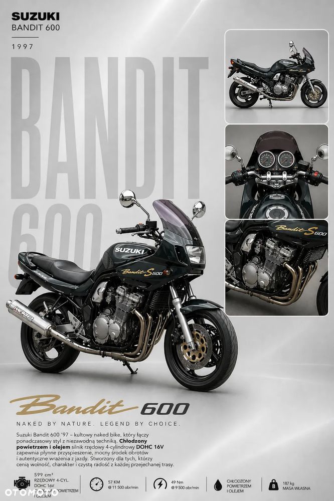 Suzuki Bandit - 2