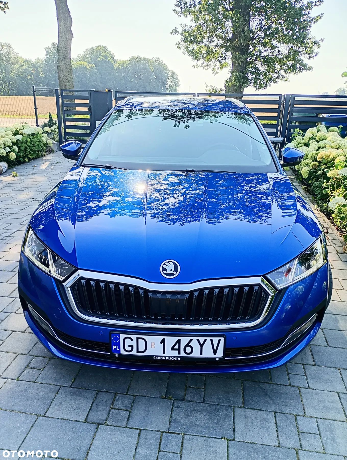 Skoda Octavia - 1
