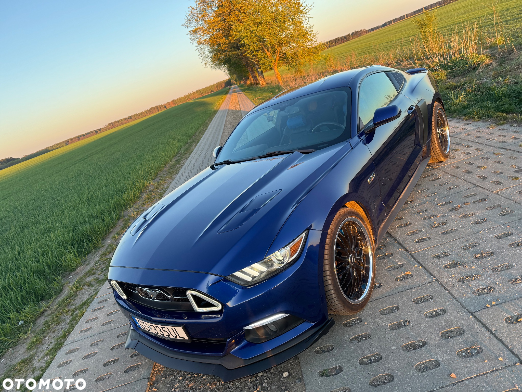 Ford Mustang 5.0 V8 GT - 2