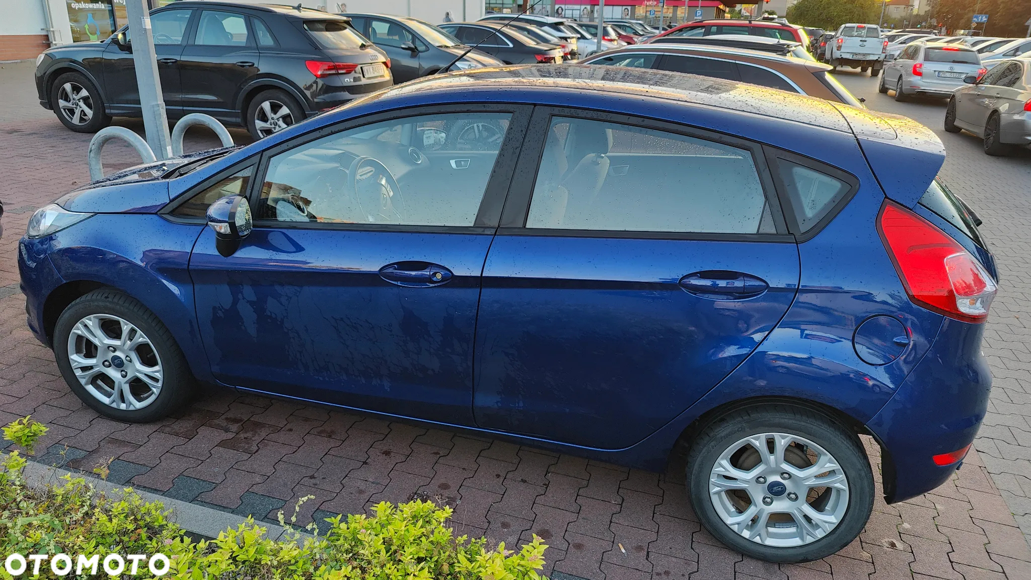 Ford Fiesta - 5