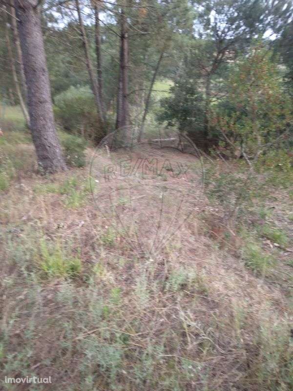 Terreno  para venda - Grande imagem: 2/6