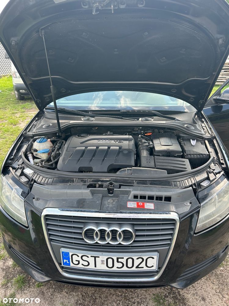 Audi A3 Sportback null - 15