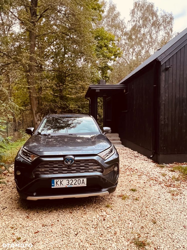 Toyota RAV4 2.5 Hybrid Executive 4x2 - 2
