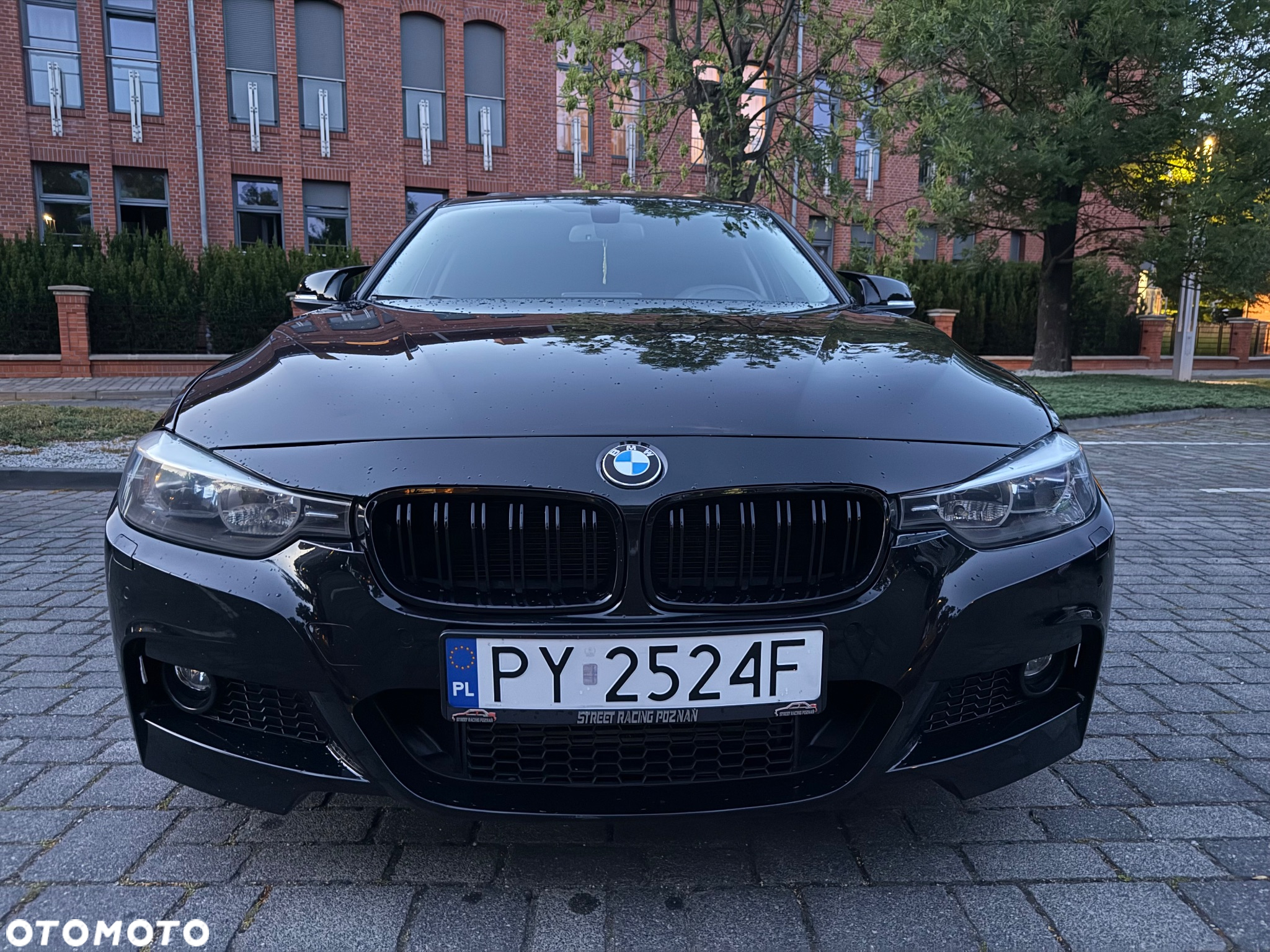 BMW Seria 3 - 13