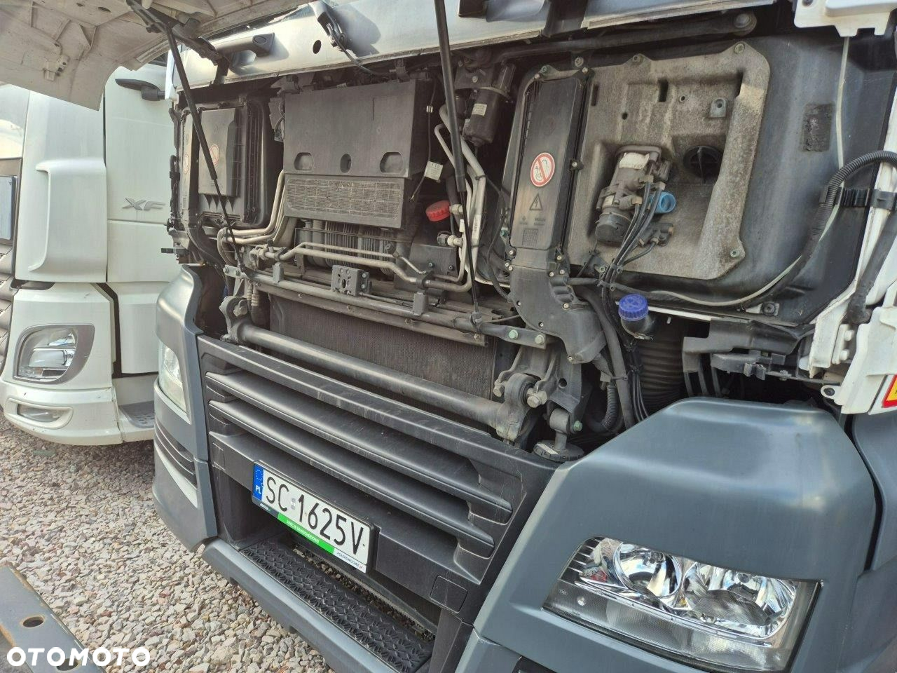 MAN Tgx - 5