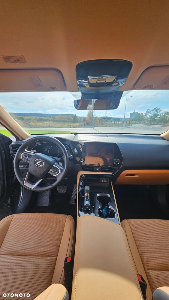 Lexus NX - 9
