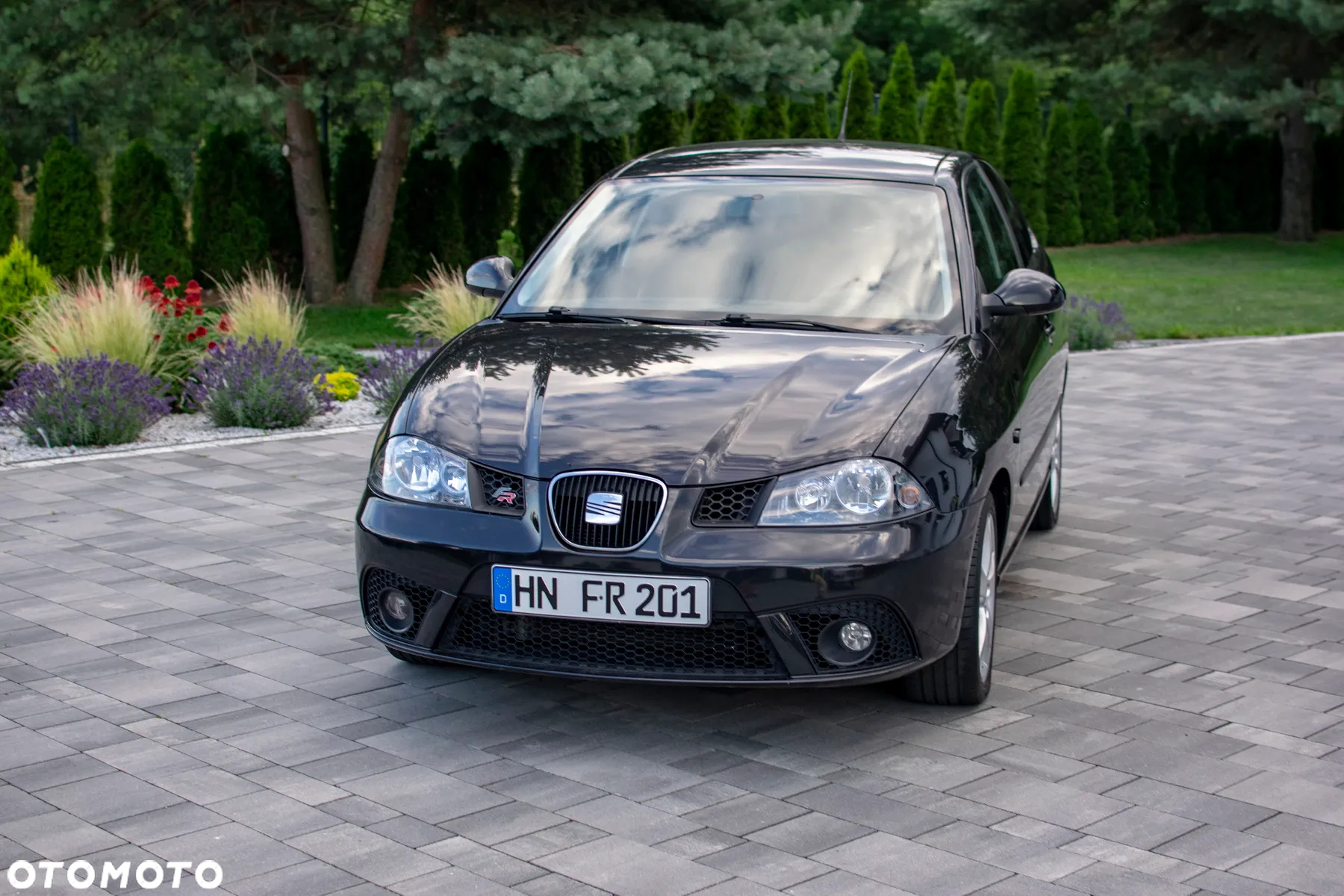 Seat Ibiza - 7