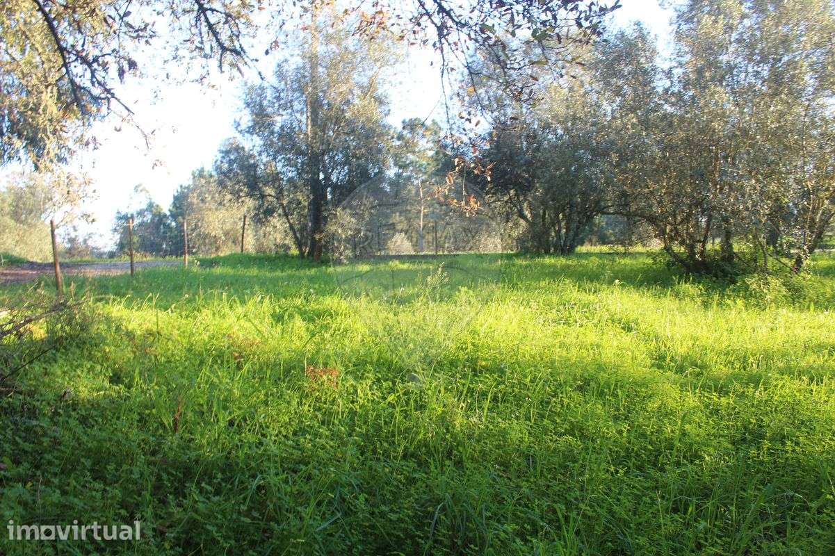 Terreno  para venda - Grande imagem: 3/8