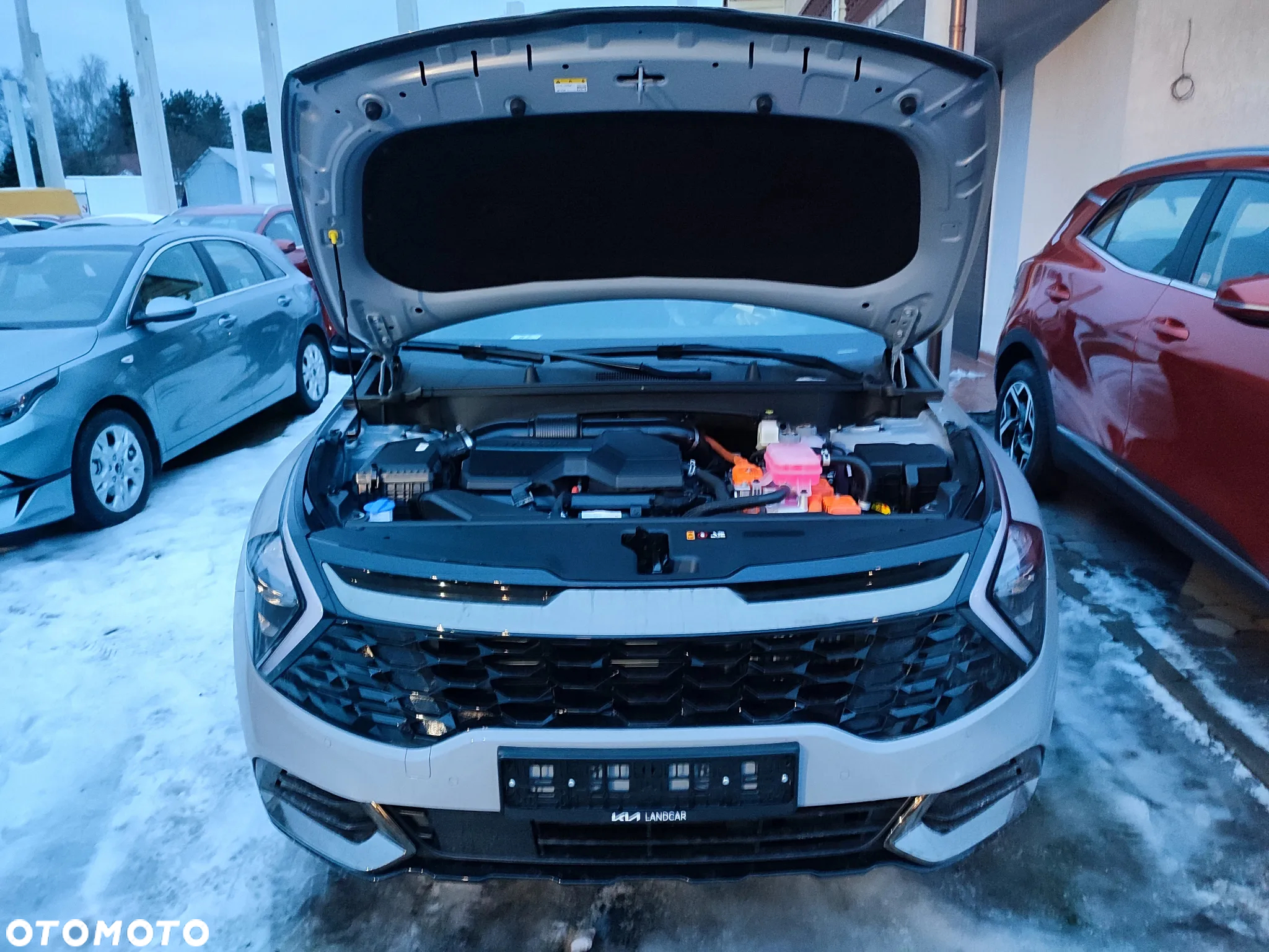 Kia Sportage 1.6 T-GDI HEV Anniversary 4WD - 22