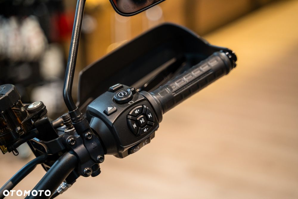 Harley-Davidson Pan America - 8