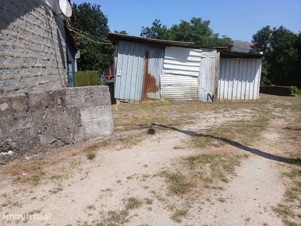 Quintinha, com 7000m2 com 4 artigos, 3 nas casa e 1 no terreno. - Grande imagem: 5/20