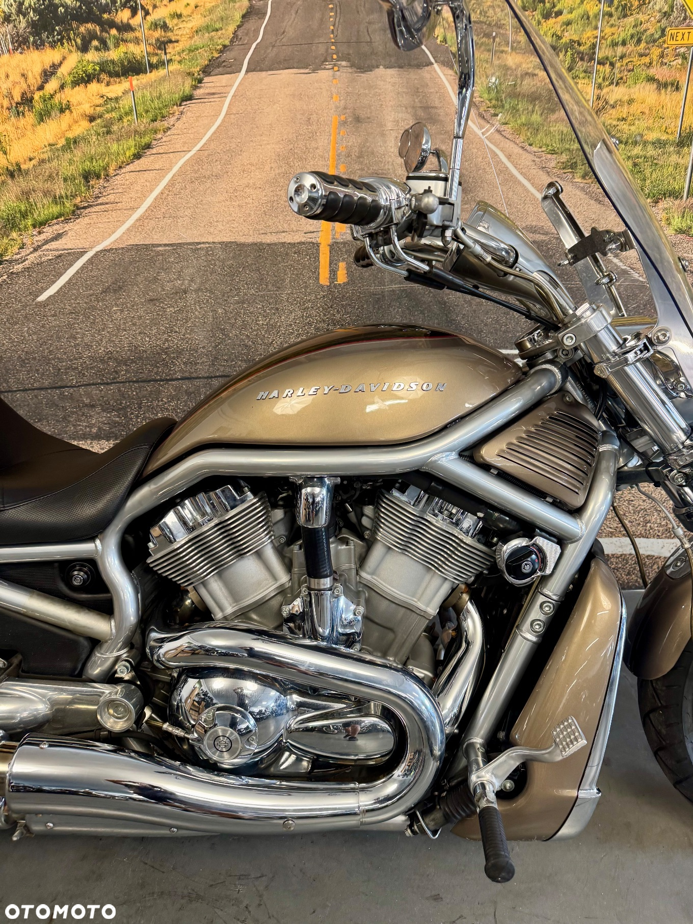 Harley-Davidson V-Rod Street Rod - 11