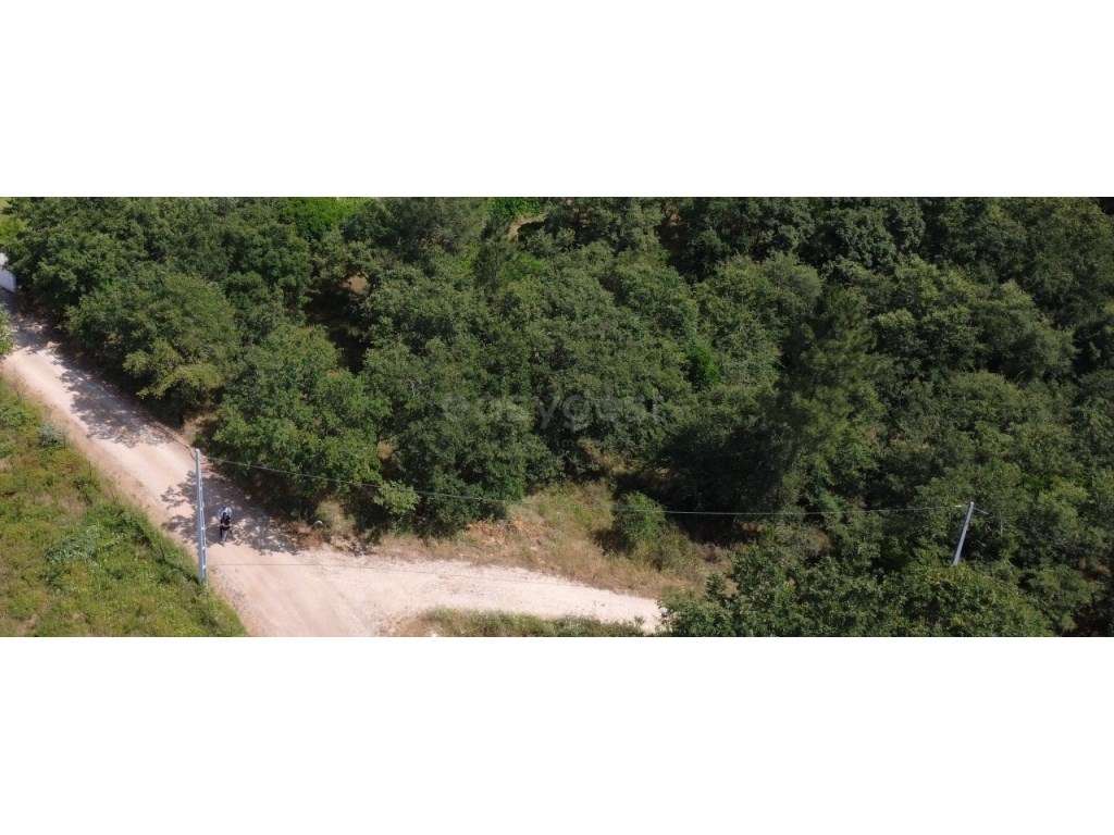 Venda conjunta ou em separado de dois terrenos urbanos - Grande imagem: 3/17