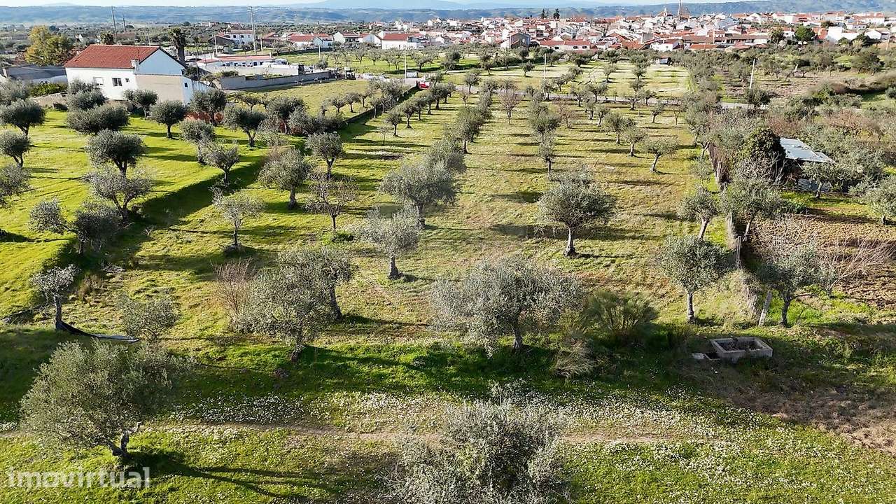 Terreno  para venda - Grande imagem: 4/4