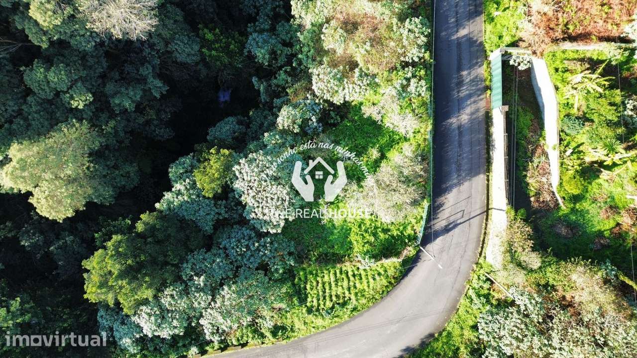 Terreno Rústico em Santo António da Serra - Grande imagem: 5/14