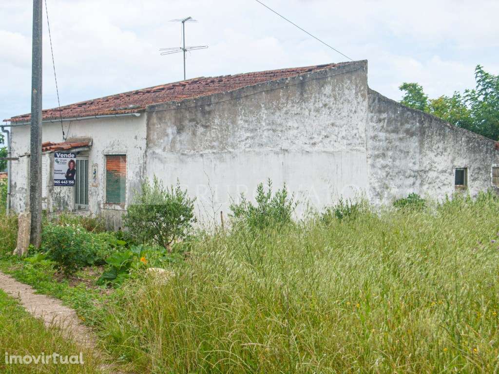 Moradia para recuperar com poço de água e luz | Alqueidão - Grande imagem: 3/16