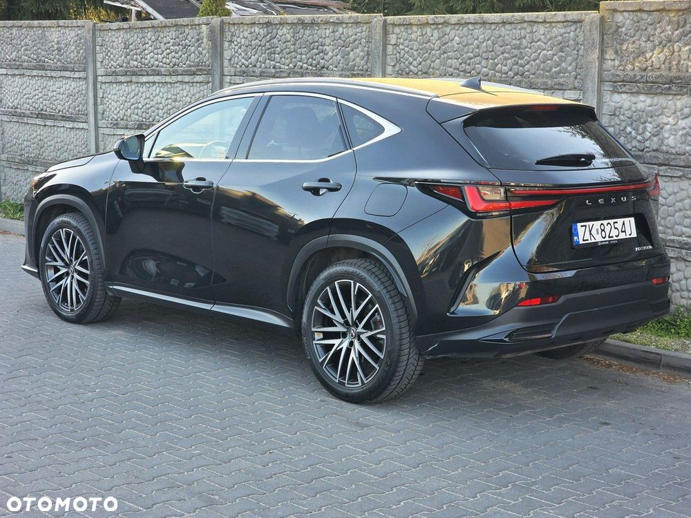 Lexus NX - 6