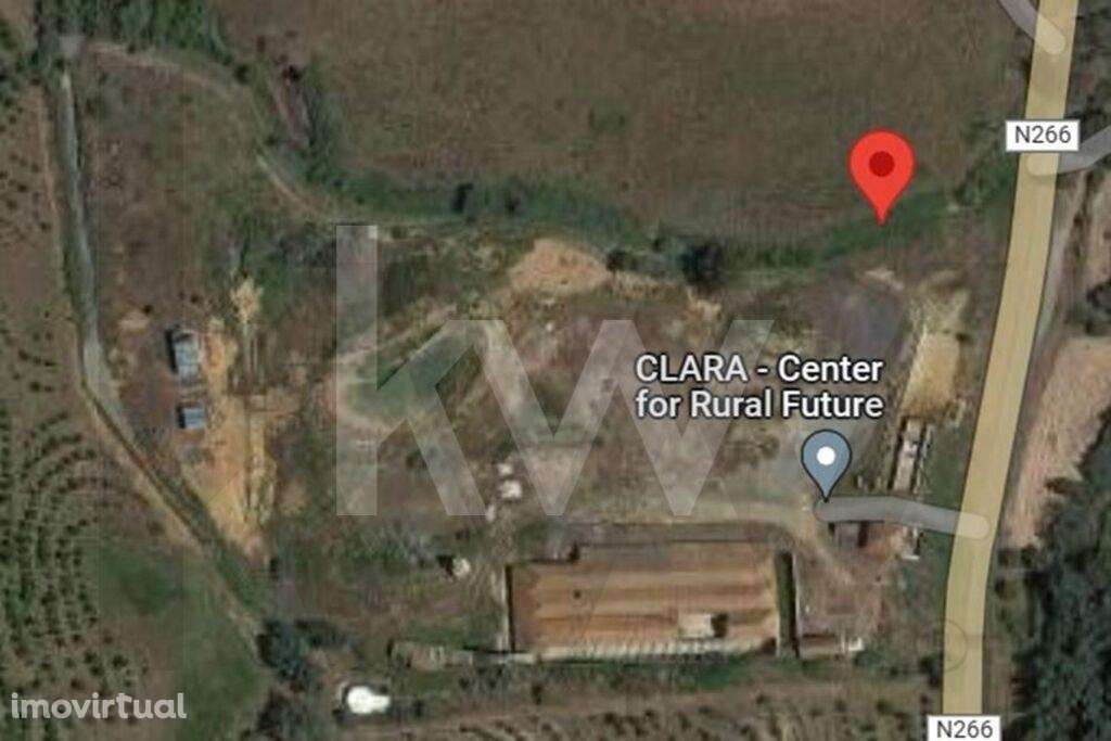 Eco TURISMO | CLARA - Center for Rural Future | Oportunidade de invest - Grande imagem: 3/4