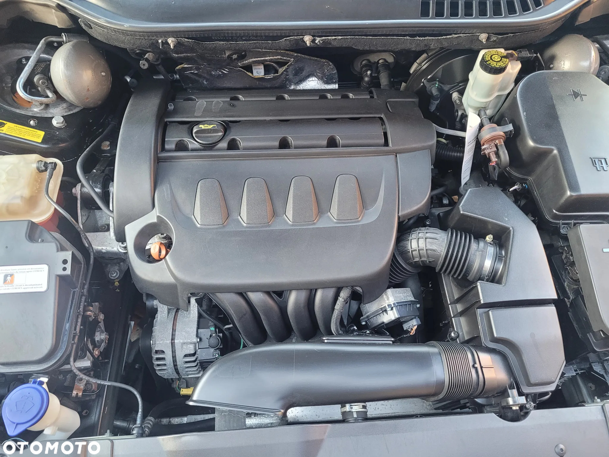 Citroën C5 2.0i 16V Dynamique - 22