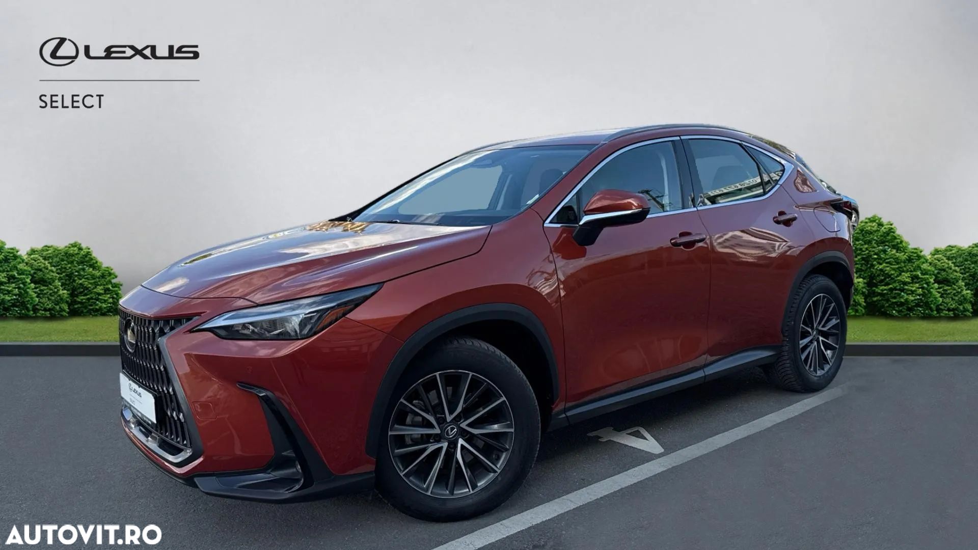 Lexus Seria NX 350h AWD CVT HEV Business - 1