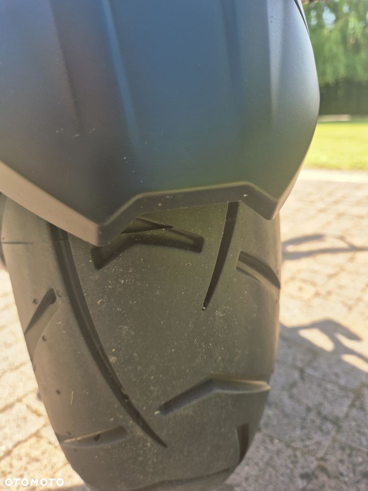 Triumph Tiger - 20