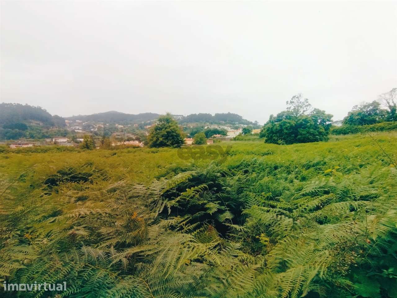 Terreno de Luxo em Caminha (5.000 m²) | Investimento Premium - Grande imagem: 3/18
