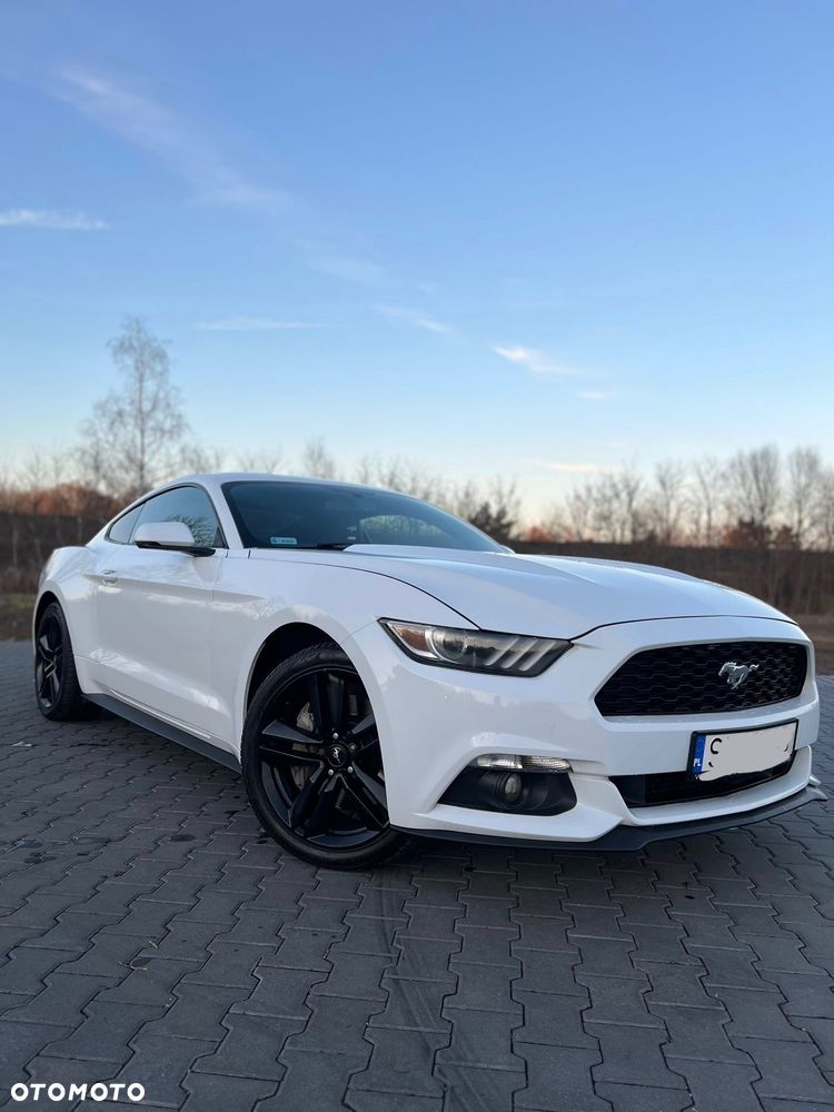 Ford Mustang 2.3 EcoBoost - 15