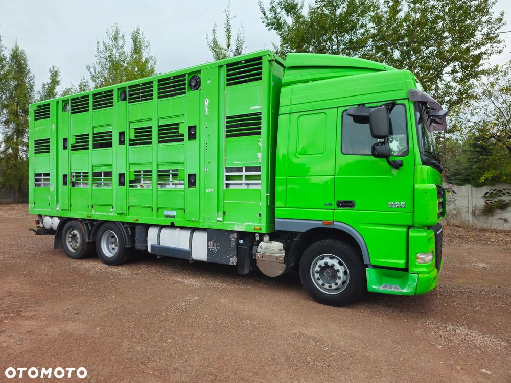 DAF xf 105 460 - 2