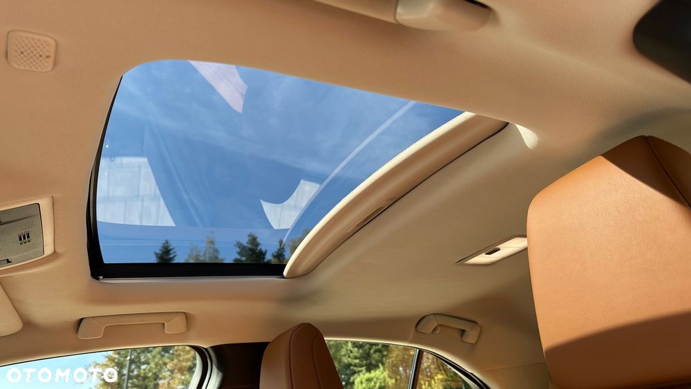 Lexus UX 250h GPF Prestige AWD - 17
