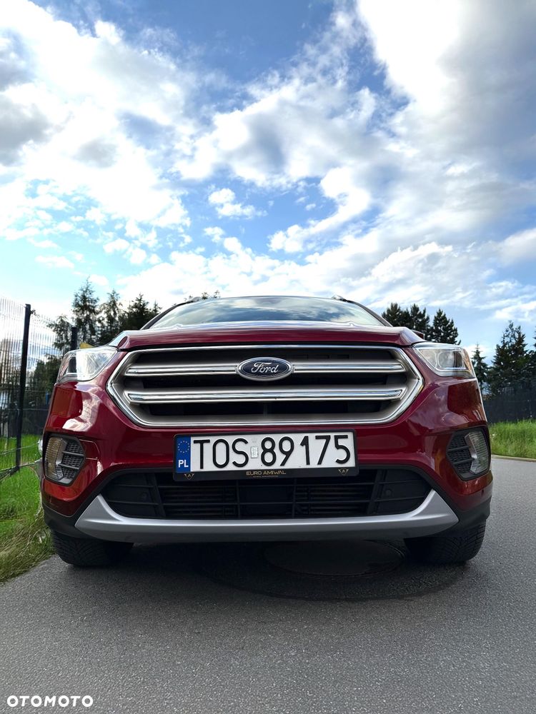 Ford Escape - 8