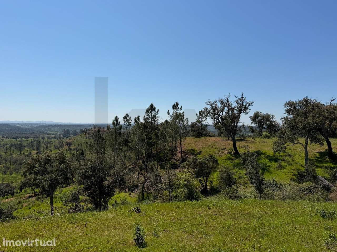Terreno de 50ha em Santiago do Cacém - Grande imagem: 4/13