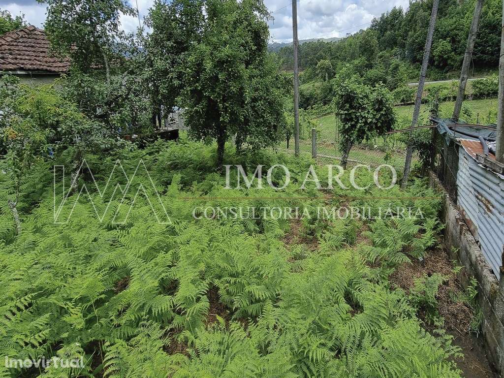 Moradia T2 para restauro - Grande imagem: 5/12